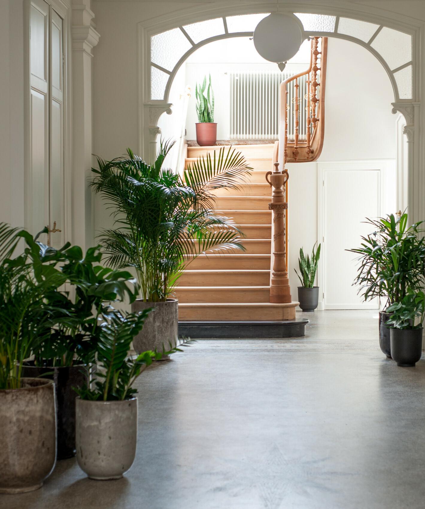 B'Guest Sleep & Retreat Bed & Breakfast บรูจส์ ภายนอก รูปภาพ